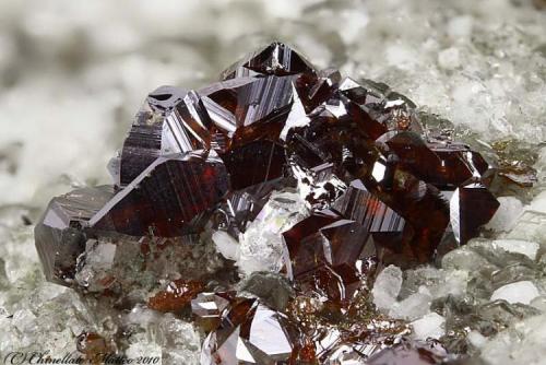 Rutile
Mt Cervandone (Scherbadung), Devero Alp (Devero Valley; Val Devero), Baceno, Ossola Valley, Verbano-Cusio-Ossola Province, Piedmont, Italy
5.29 mm group of red-dark Rutile crystals (Author: Matteo_Chinellato)