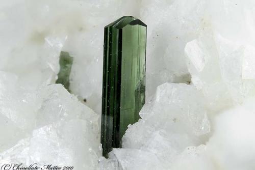 Diopside
Mt Cervandone (Scherbadung), Devero Alp (Devero Valley; Val Devero), Baceno, Ossola Valley, Verbano-Cusio-Ossola Province, Piedmont, Italy
Perfect 4.96 mm Diopside crystal (Author: Matteo_Chinellato)