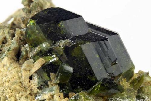 Epidote
Laghi Verdi, Balme, Ala Valley, Lanzo Valley, sesia-Lanzo zone, Torino Province, Piedmont, Italy
12.74 mm group of green-dark Epidote crystals (Author: Matteo_Chinellato)