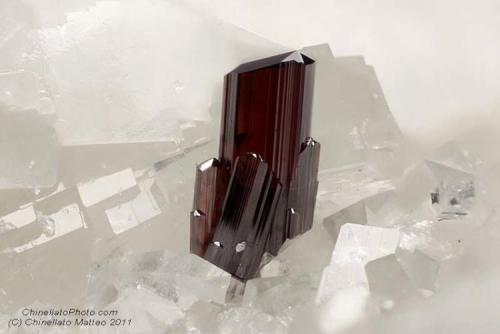 Rutile
Crevoladossola quarry, Crevoladossola, Ossola Valley, Verbano-Cusio-Ossola Province, Piedmont, Italy
1.07 mm red-dark group of Rutile crystals (Author: Matteo_Chinellato)