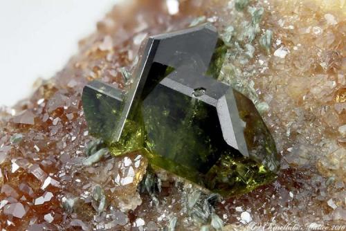 Epidote
Viù, Viù Valley, Lanzo Valley, Sesia-Lanzo zone, Torino Province, Piedmont, Italy
4.69 mm group of geminated green Epidote crystals (Author: Matteo_Chinellato)