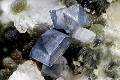 Anatase
Susa Valley, Torino Province, Piedmont, Italy
1.82 mm group of blue Anatase crystals (Author: Matteo_Chinellato)