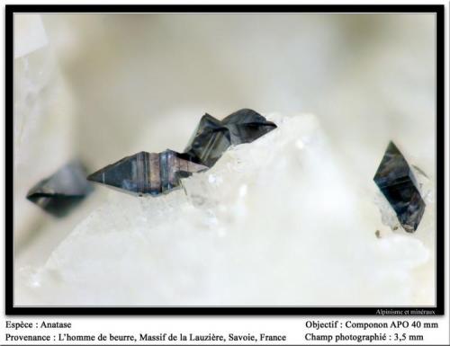 Anatase
L’Homme de Beurre, La Lauzière massif, Savoie, Rhône-Alpes, France
fov 3 mm (Author: ploum)