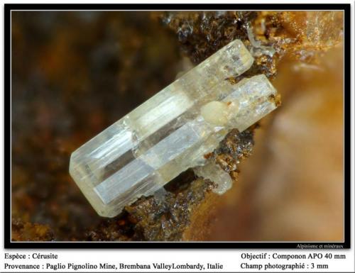 Cerussite
Paglio Pignolino Mine, Dossena, Brembana Valley, Bergamo, Lombardy, Italy
fov 3 mm (Author: ploum)