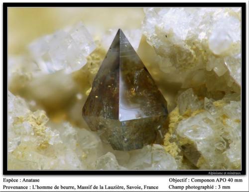 Anatase
L’Homme de Beurre, La Lauzière massif, Savoie, Rhône-Alpes, France
fov 3 mm (Author: ploum)