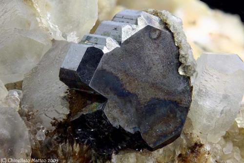 Bournonite
Brosso Mine, Cálea, Léssolo, Canavese District, Torino Province, Piedmont, Italy
6 mm Bournonite grey crystal (Author: Matteo_Chinellato)