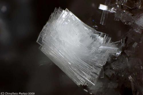 Bavenite
Baveno, Verbano-Cusio-Ossola Province, Piedmont, Italy
1.16 mm Bavenite group of crystals (Author: Matteo_Chinellato)