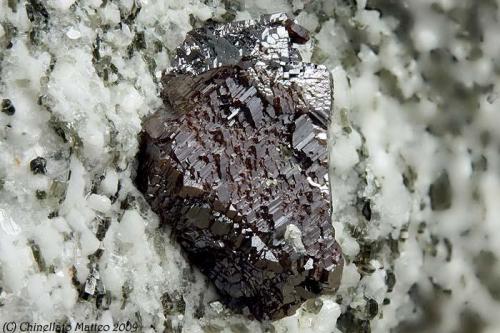 Rutile
Mt Cervandone (Scherbadung), Devero Alp (Devero Valley; Val Devero), Baceno, Ossola Valley, Verbano-Cusio-Ossola Province, Piedmont, Italy
Nice 6.39 mm Rutile in pseudomorph of Anatase (Author: Matteo_Chinellato)