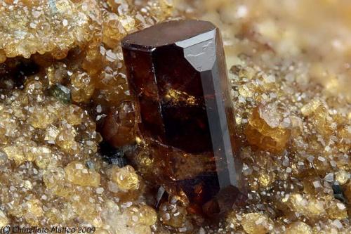 Vesuvianite
Rocca della Marasca, Urbe, Savona Province, Liguria, Italy
4.27 mm brown-red Vesuvianite crystal (Author: Matteo_Chinellato)