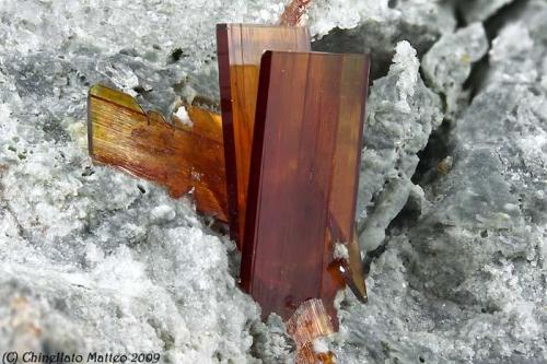 Brookite
Mt. Bregaceto, Borzonasca, Genova Province, Liguria, Italy
Group of orange-red Brookite blades of 3.42 mm (Author: Matteo_Chinellato)