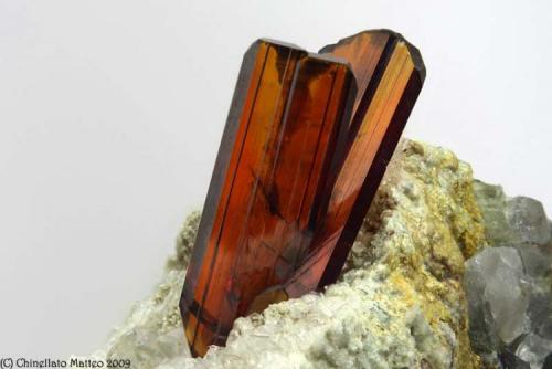 Brookite
Mt. Bregaceto, Borzonasca, Genova Province, Liguria, Italy
4.8 mm group of orange Brookite blades (Author: Matteo_Chinellato)