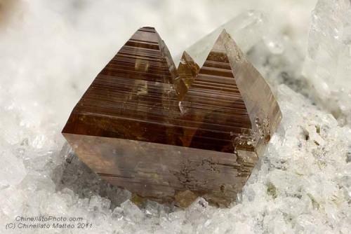 Anatase
Mt. Bregaceto, Borzonasca, Genova Province, Liguria, Italy
2.14 mm group of orange-brown Anatase crystals (Author: Matteo_Chinellato)