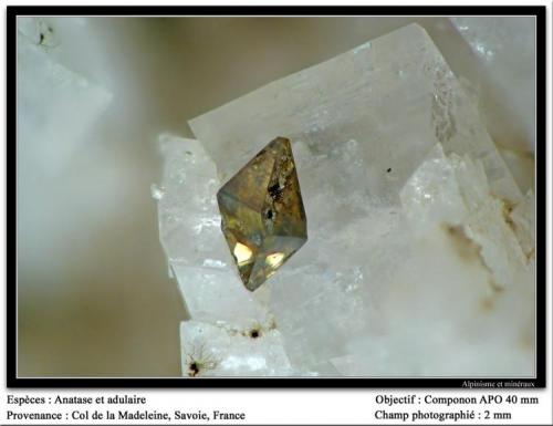 Anatase and adularia
Col de la Madeleine, Savoie, France
fov 2 mm (Author: ploum)