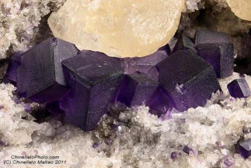 Fluorite
Camissinone Mine, Zogno, Brembana Valley, Bergamo Province, Lombardy, Italy
17.11 mm group of purple dark Fluorite crystals (Author: Matteo_Chinellato)