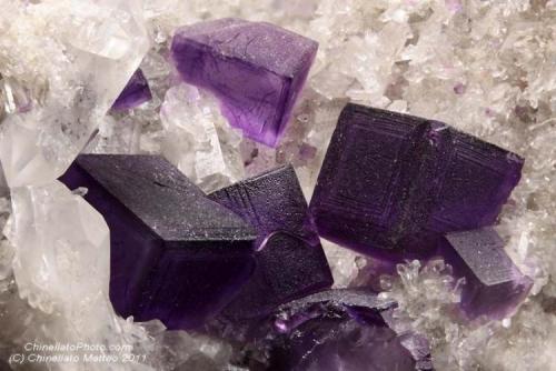 Fluorite
Camissinone Mine, Zogno, Brembana Valley, Bergamo Province, Lombardy, Italy
6.41 mm group of purple dark Fluorite crystals (Author: Matteo_Chinellato)