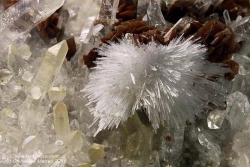 Aragonite, Quartz, Siderite
Piatta Grande, Sondalo, Sondrio Province, Lombardy, Italy
9 mm tuft of acycular Aragonite on Quartz and Siderite (Author: Matteo_Chinellato)