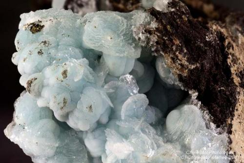 Hemimorphite
Zorzone Mine, Vedra Valley, Oltre il Colle, Brembana Valley, Bergamo Province, Lombardy, Italy
32.76 mm area with blue Hemimorphite crystals (Author: Matteo_Chinellato)
