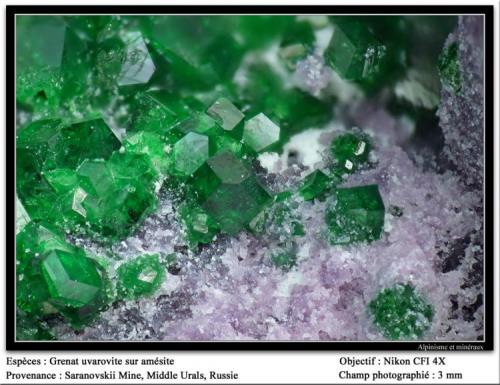 Uvarovite and amesite
Saranovskii mine, Urals region, Russia
fov 3 mm (Author: ploum)