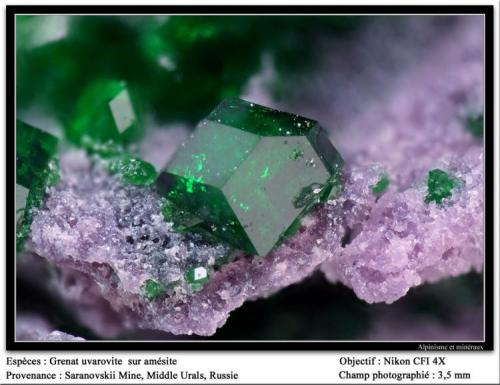 Uvarovite garnet
Saranovskii mine, Urals region, Russia
fov 3 mm (Author: ploum)