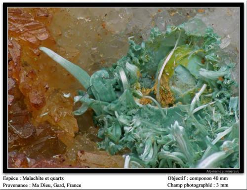 Malachite and quartz
Mas Dieu, Gard, France
fov 3 mm (Author: ploum)