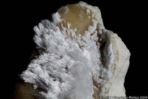 Artinite, Hydromagnesite
Rossa Valley, Cene, Bergamo Province, Lombardy, Italy
Area of 41.69 mm with acycular Artinite crystals and balls of Hydromagnesite (Author: Matteo_Chinellato)