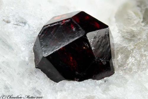 Almandine
Codera Valley, Novate Mezzola, Sondrio Province, Lombardy, Italy
Nice 4.87 mm red-dark Almandine crystal (Author: Matteo_Chinellato)