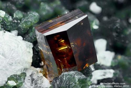 Anatase
Griesferner glacier, Vizze Valley (Pfitsch Valley), Bolzano Province (South Tyrol), Trentino-Alto Adige, Italy
2.54 mm tabular orange-red Anatase crystal (Author: Matteo_Chinellato)