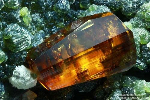 Anatase
Griesferner glacier, Vizze Valley (Pfitsch Valley), Bolzano Province (South Tyrol), Trentino-Alto Adige, Italy
3.19 mm orange-red Anatase crystal (Author: Matteo_Chinellato)