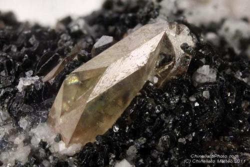 Titanite
Vento Valley (Wind Valley), Aurina Valley (Ahrnbach Valley), Bolzano Province (South Tyrol), Trentino-Alto Adige, Italy
6.25 mm complex Titanite crystal (Author: Matteo_Chinellato)