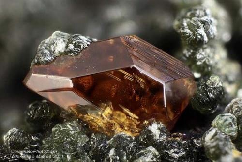 Anatase
Griesferner glacier, Vizze Valley (Pfitsch Valley), Bolzano Province (South Tyrol), Trentino-Alto Adige, Italy
2.84 mm brown-yellow Anatase crystal (Author: Matteo_Chinellato)