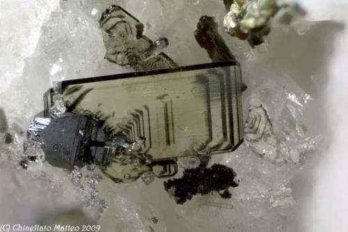 Brookite, Anatase
Vizze Valley (Pfitsch Valley), Bolzano Province (South Tyrol), Trentino-Alto Adige, Italy
1.29 mm group with a grey Anatase and a yellow " tiger " Brookite blade from Wasserfallkopfe, Vizze Valley (Author: Matteo_Chinellato)