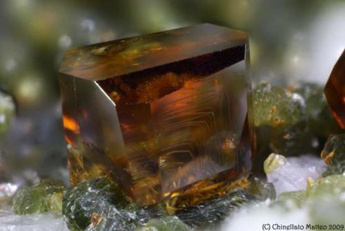 Anatase
Griesferner glacier, Vizze Valley (Pfitsch Valley), Bolzano Province (South Tyrol), Trentino-Alto Adige, Italy
1.48 mm orange-yellow Anatase crystal (Author: Matteo_Chinellato)