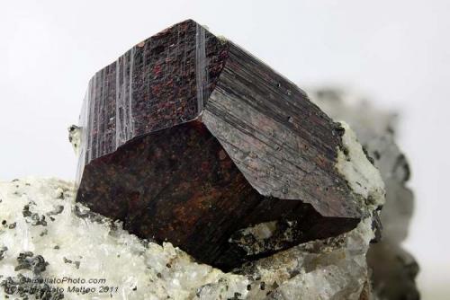 Pyrite
Grabspitz Mt., Vizze Valley (Pfitsch Valley), Bolzano Province (South Tyrol), Trentino-Alto Adige, Italy
16.44 mm oxidized Pyrite crystal (Author: Matteo_Chinellato)