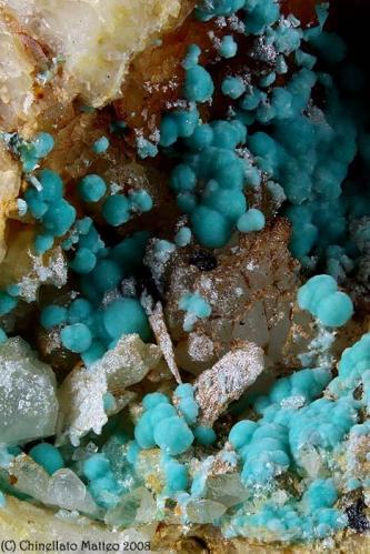 Aurichalcite
Tingherla Mine, Palù del Fersina, Mocheni Valley, Trento Province, Trentino-Alto Adige, Italy
17 mm close up in a area full of Aurichalcite balls (Author: Matteo_Chinellato)