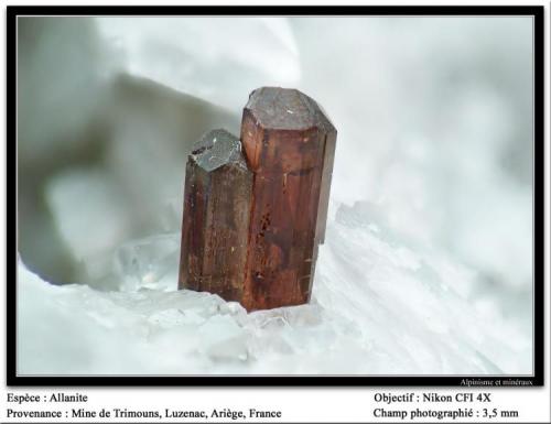 Allanite-(Ce)
Trimouns Mine, Luzenac, Ariège, France
fov 3.5 mm (Author: ploum)