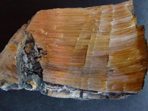 Grunerita<br />El Muyo, Riaza, Comarca Tierras de Riaza, Segovia, Castile and León, Spain<br />5 x 4 cm.<br /> (Autor: javier ruiz martin)