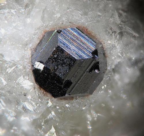 Isolueshita
Península de Kola, Murmanskaja Oblast’, Rusia
fov 0.5 mm (Autor: Rewitzer Christian)