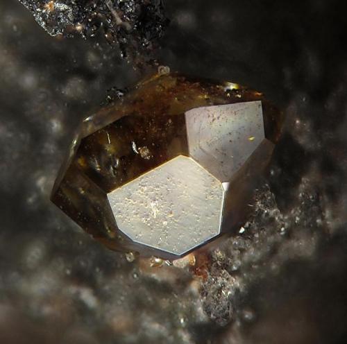 Stottita
Mina Tsumeb, Tsumeb, Namibia
fov 3 mm (Autor: Rewitzer Christian)