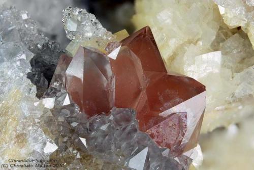 Quartz var. red
Alpe di Campogrosso, Recoaro Terme, Vicenza Province, Veneto, Italy
Rarest 10.99 mm red-orange group of Quartz crystals (Author: Matteo_Chinellato)