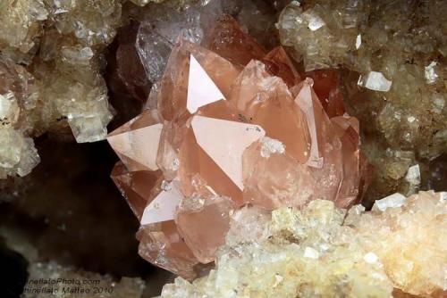 Quartz var. red
Alpe di Campogrosso, Recoaro Terme, Vicenza Province, Veneto, Italy
Rarest 9.64 mm red-orange group of Quartz crystals (Author: Matteo_Chinellato)