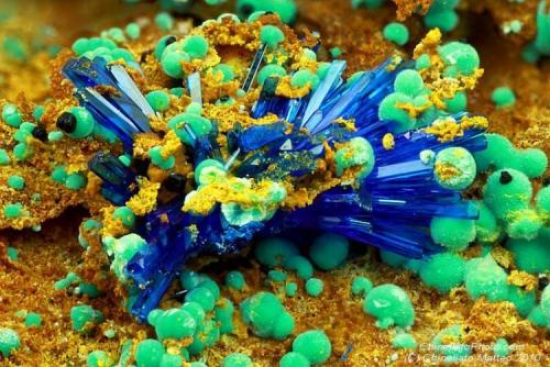 Linarite, Malachite
Monte Trisa Mines, Mercanti Valley, Torrebelvicino, Vicenza Province, Veneto, Italy
2.31 mm group of blue Linarite crystals with green Malachite balls (Author: Matteo_Chinellato)