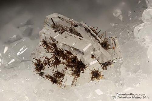 Goethite
Magrè Mt., Vicenza Province, Veneto, Italy
2.56 mm group of probable Baryte crystals full of Goethite tufts (Author: Matteo_Chinellato)