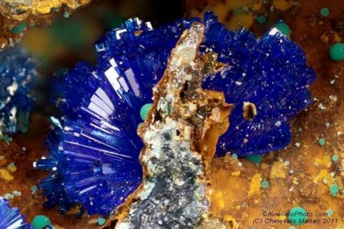 Linarite
Monte Trisa Mines, Mercanti Valley, Torrebelvicino, Vicenza Province, Veneto, Italy
2.62 mm group of Linarite crystals in cavity (Author: Matteo_Chinellato)