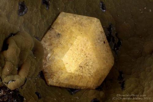 Gmelinite-Ca
Contrada Bagattei, Vestenanuova, Verona province, Veneto, Italy
2.58 mm Gmelinite-Ca crystal (Author: Matteo_Chinellato)