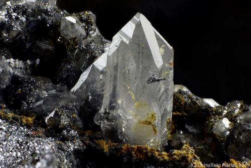 Cerussite
Monte Trisa Mines, Mercanti Valley, Torrebelvicino, Vicenza Province, Veneto, Italy
1.62 mm Cerussite crystal (Author: Matteo_Chinellato)