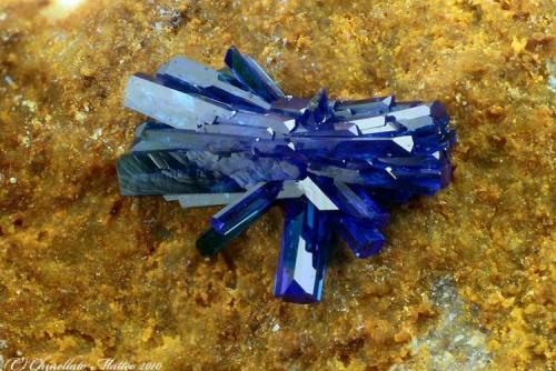 Linarite
Monte Trisa Mines, Mercanti Valley, Torrebelvicino, Vicenza Province, Veneto, Italy
1.86 mm group of blue-dark Linarite crystals (Author: Matteo_Chinellato)
