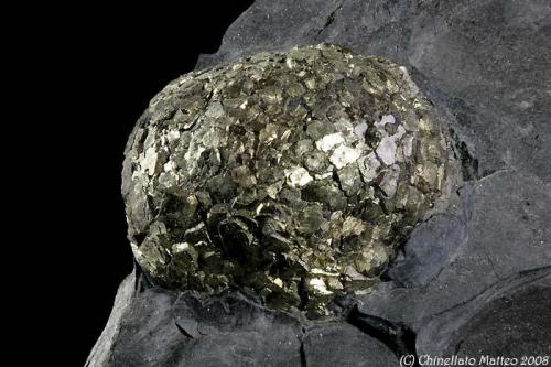 Pyrite
Schio-Valdagno tunnel, Vicenza province, Veneto, Italy
32.2 mm Pyrite ball on botryoidal shape (Author: Matteo_Chinellato)