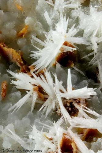 Aragonite, Pyroaurite
Borcola Pass Quarry, Borcola Pass, Posina, Vicenza Province, Veneto, Italy
Area of 5.5 mm with several Aragonite acycular crystals and Pyroaurite micro blades (Author: Matteo_Chinellato)