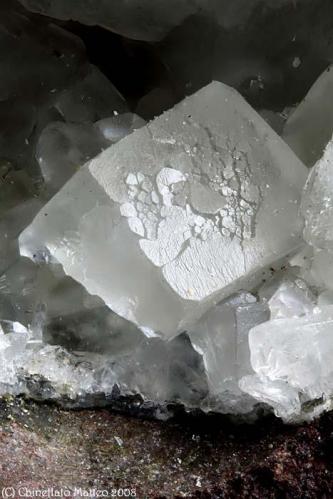Apophyllite
Nero Mt., San Pietro, Montecchio Maggiore, Vicenza Province, Veneto, Italy
3.8 mm Apophyllite crystal (Author: Matteo_Chinellato)