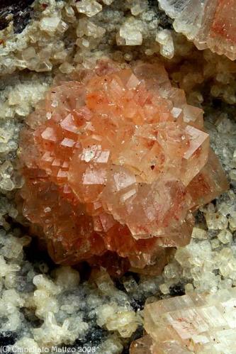 Phillipsite
Fittà, Soave, Verona Province, Veneto, Italy
orange-salmon light color 9 mm Phillipsite ball (Author: Matteo_Chinellato)